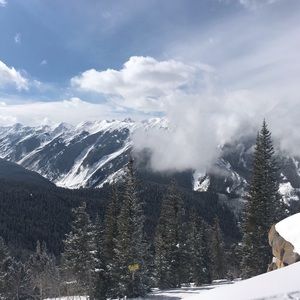 Meet your Posher, Elena